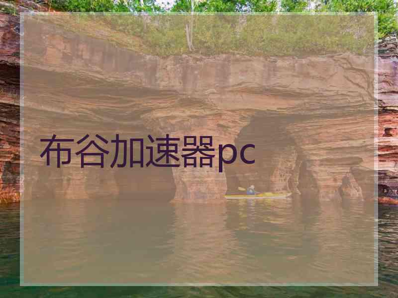 布谷加速器pc