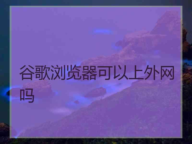 谷歌浏览器可以上外网吗