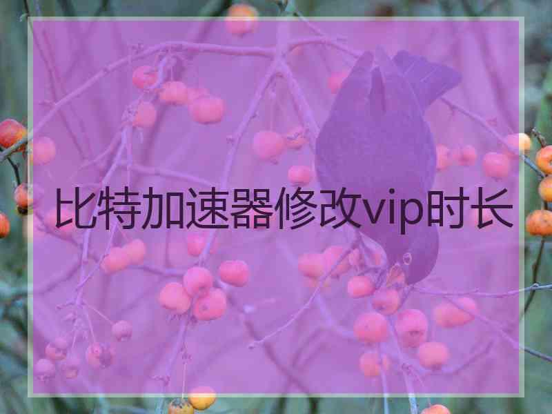 比特加速器修改vip时长